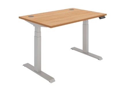 Rectangular Dual Motor Sit Stand Desk - Core