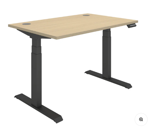 Rectangular Dual Motor Sit Stand Desk - Core