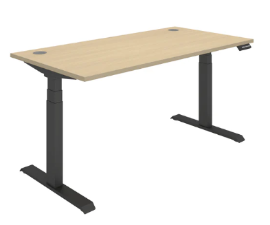 Rectangular Dual Motor Sit Stand Desk - Core