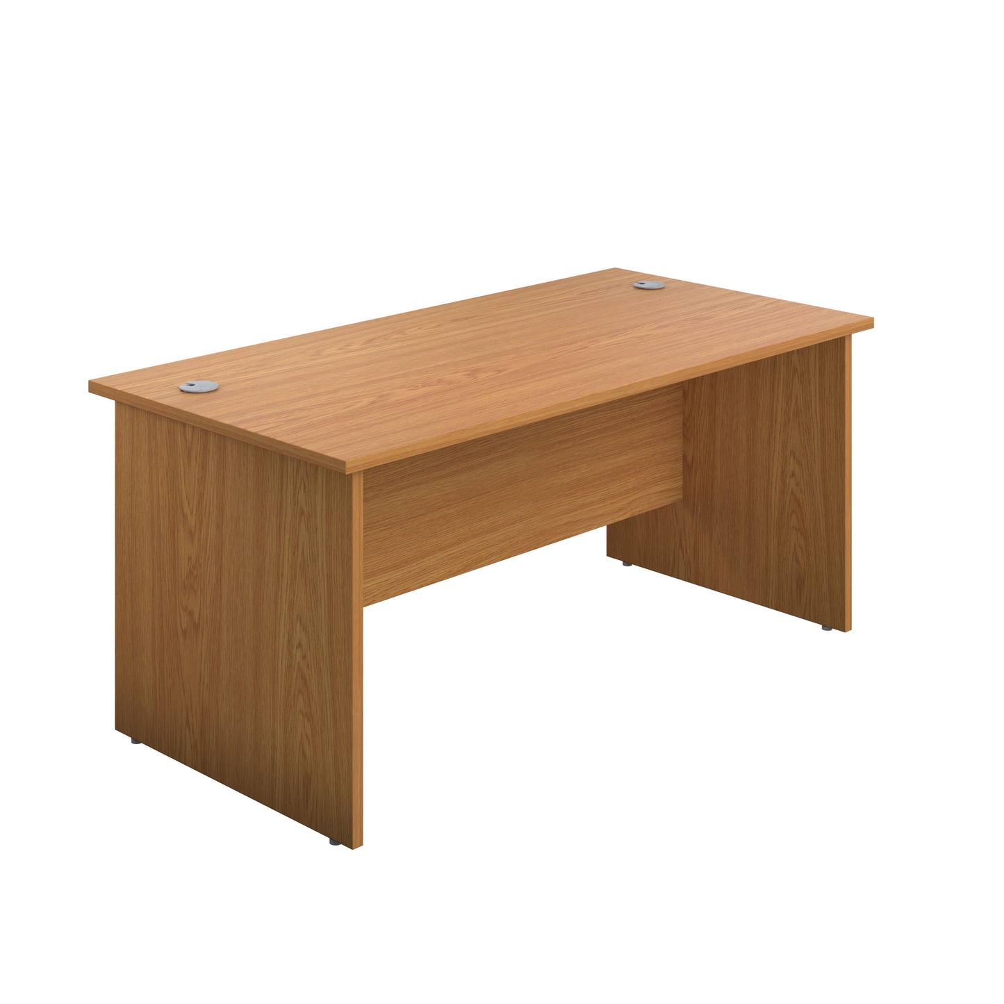 Straight Desk with Panel End Leg - 600mm deep